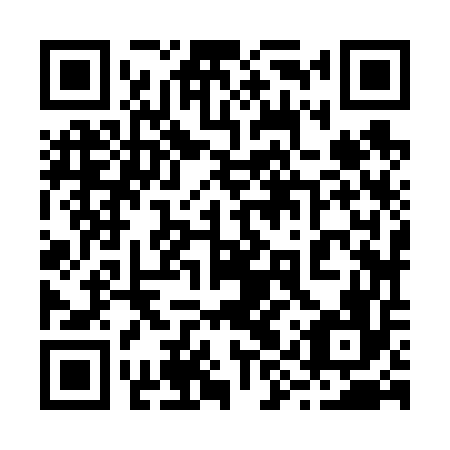 QR code for plate 29Z 656