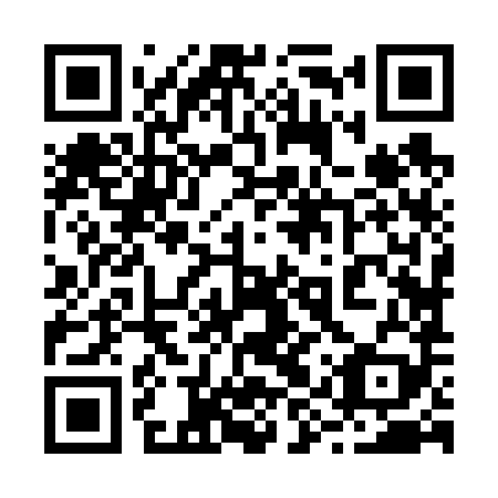 QR code for 29Z689