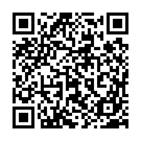 QR code for 29Z767