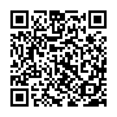 QR code for plate 2A 8958