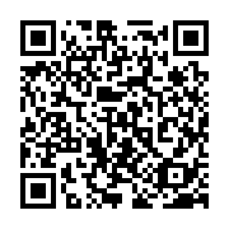 QR code for plate 2A 9338