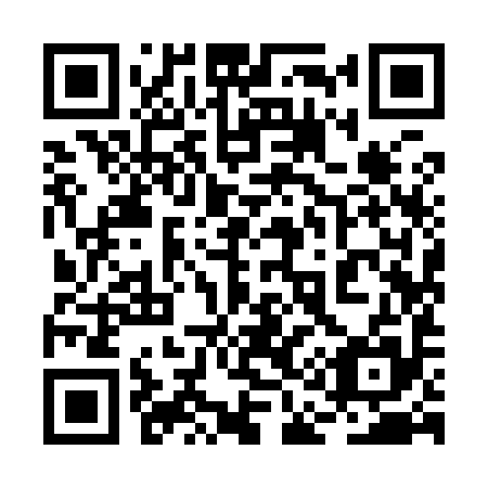QR code for plate 2A 9995