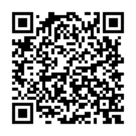 QR code for plate 2AE 961