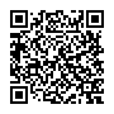 QR code for 2B 2971