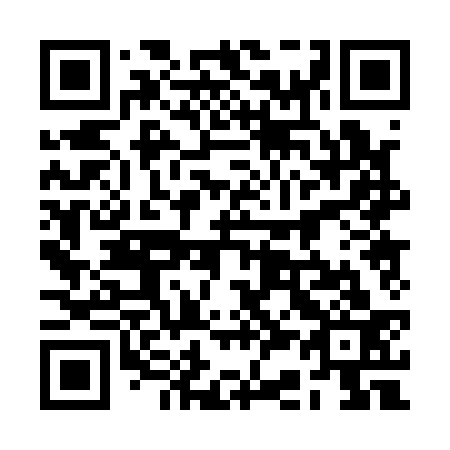 QR code for plate 2C 0133