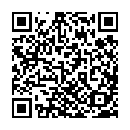 QR code for plate 2C 0689