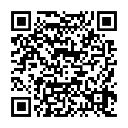 QR code for plate 2C 8738