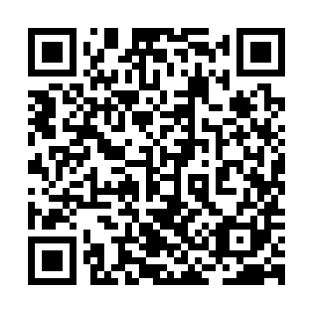 QR code for plate 2C 9381