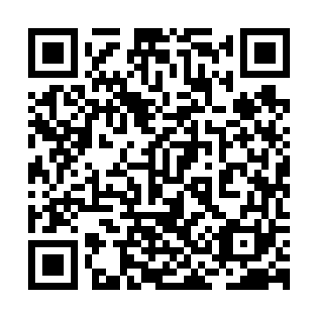 QR code for plate 2C 9661
