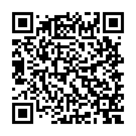 QR code for plate 2CE 194