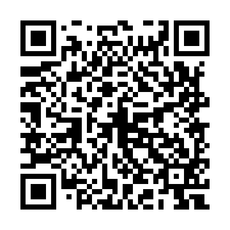 QR code for 2D 0993