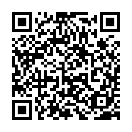 QR code for plate 2D 2950