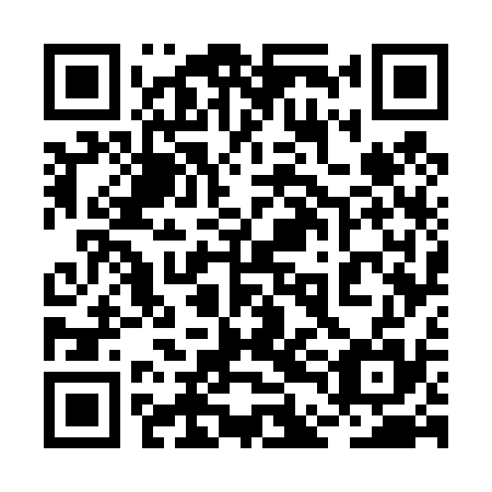 QR code for 2DG435