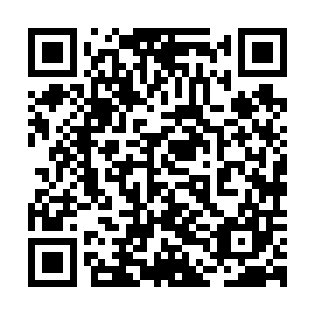 QR code for 2DH607