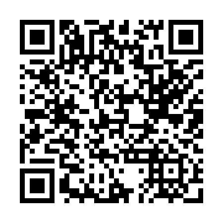 QR code for 2DI 919