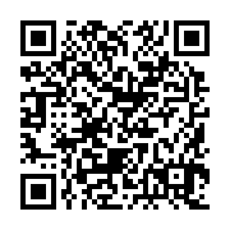 QR code for 2DI384