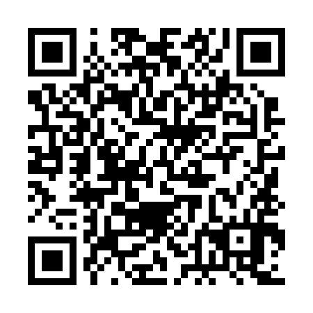 QR code for 2DL 294