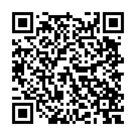 QR code for 2DM 447
