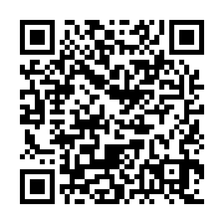 QR code for 2DN 133