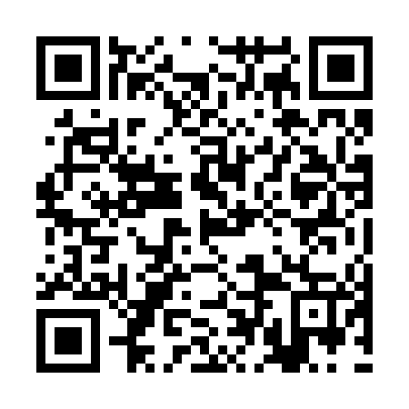 QR code for 2DN247