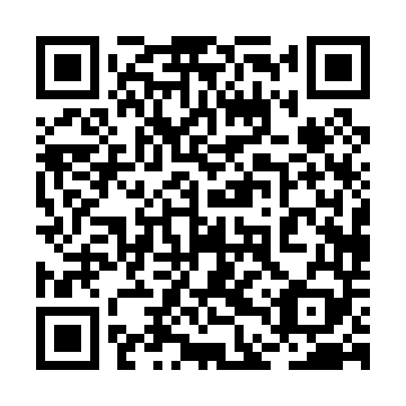 QR code for 2DP049