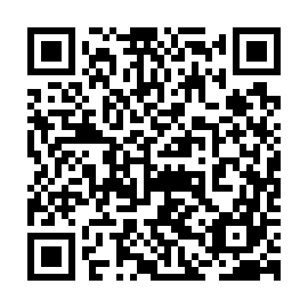 QR code for 2DQ 767