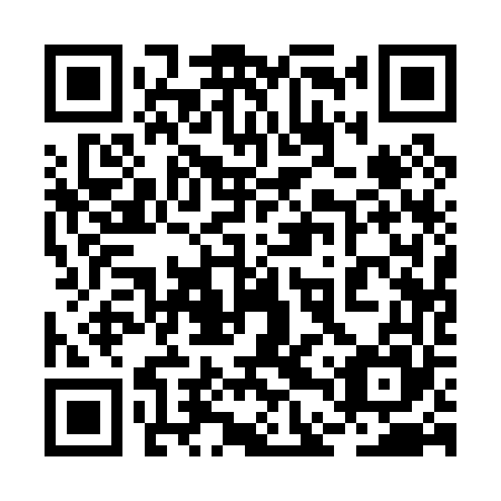 QR code for 2DQ065