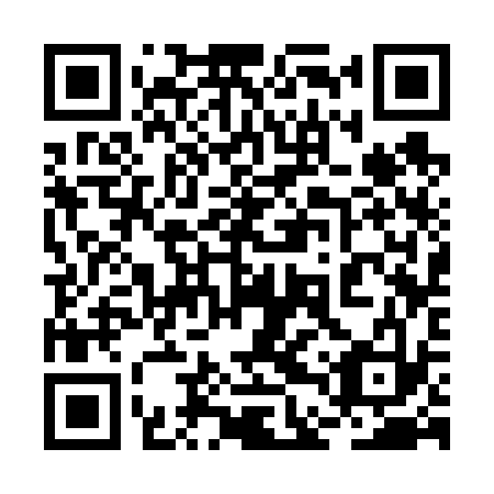 QR code for 2DS633