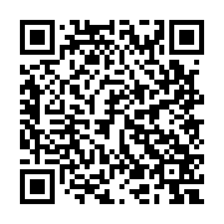 QR code for plate 2E 0163