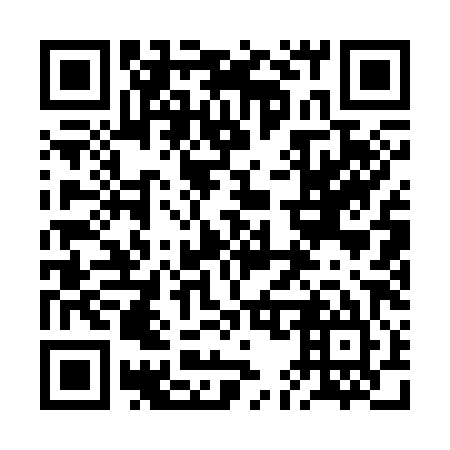 QR code for plate 2E 1385