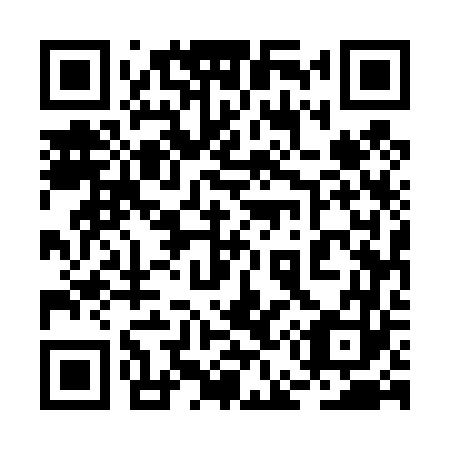 QR code for plate 2E 5463