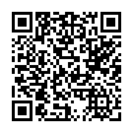 QR code for plate 2E 9245
