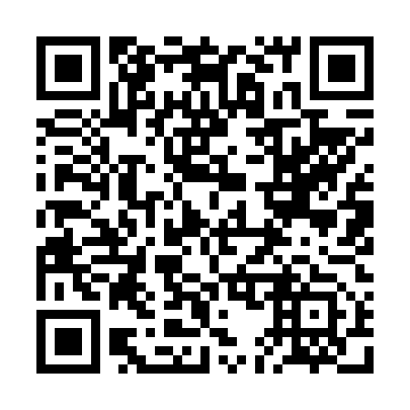 QR code for plate 2E 9653