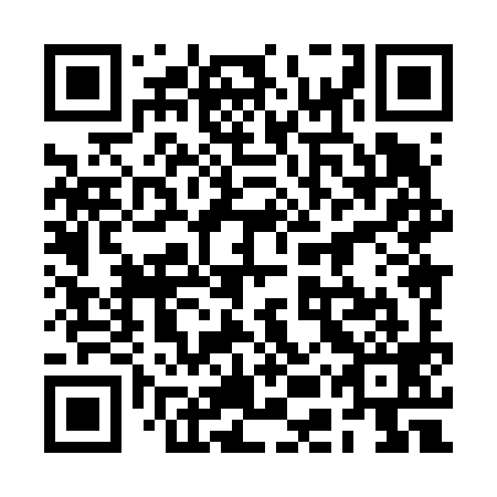 QR code for 2EX 699