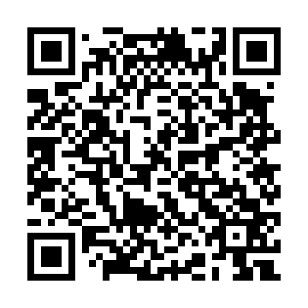 QR code for 2FG 463