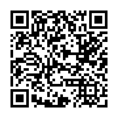 QR code for plate 2FL 919