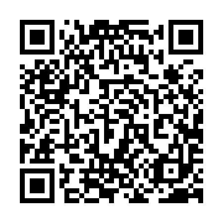 QR code for 2G 4993