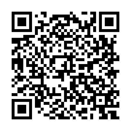 QR code for 2G 9951