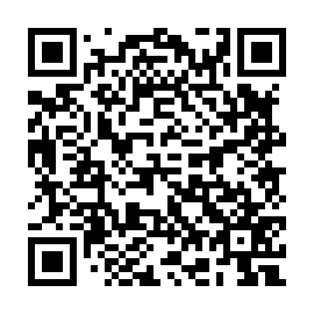 QR code for plate 2G 0877