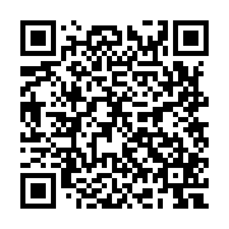 QR code for plate 2G 2905