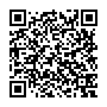 QR code for plate 2G 3938