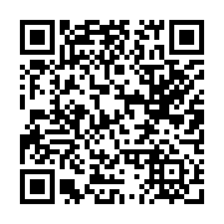 QR code for plate 2G 4951