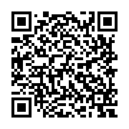 QR code for plate 2G 9996