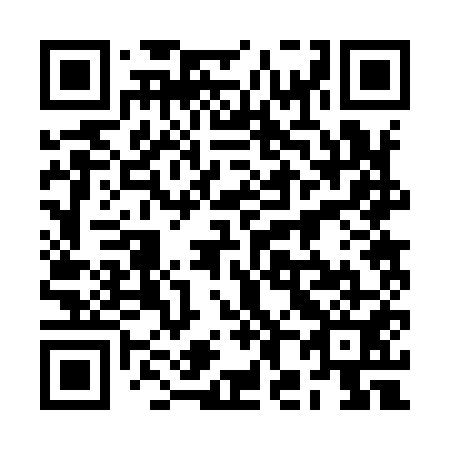 QR code for 2H 2951