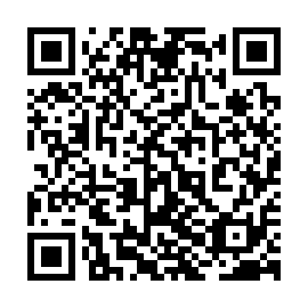QR code for 2HG311