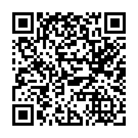 QR code for 2HS394