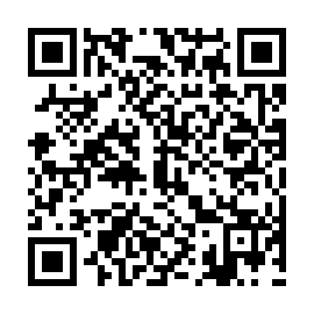 QR code for 2I 1343
