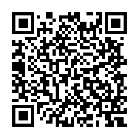 QR code for 2I0595