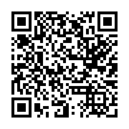 QR code for 2IF393