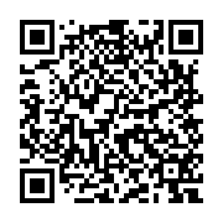 QR code for 2IG 954
